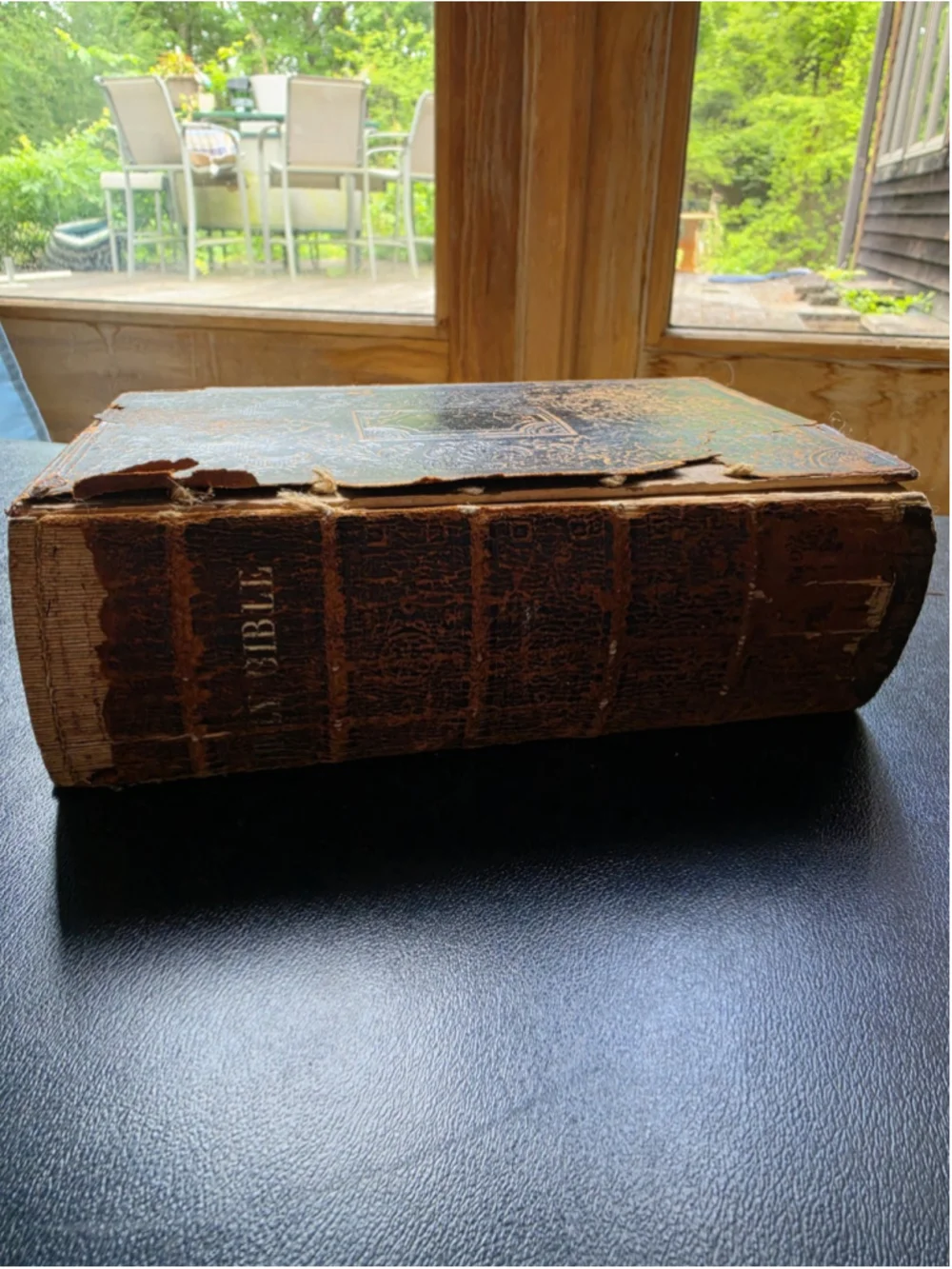1854 Holy Bible Family Records LOWE DAMON Genealogy Pre Civil War Antique Book